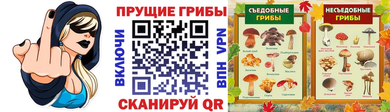 omg tor  Новосокольники  Галлюциногенные грибы MAGIC MUSHROOMS 